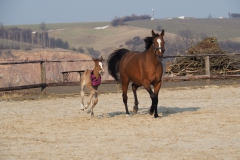 Serifa und Seramee