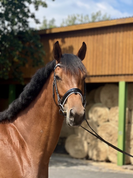 IMG_6043