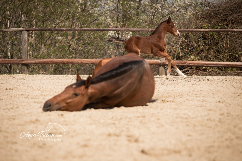 20190406-Anja-IMG_1375