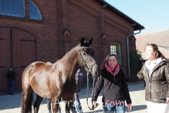 Gefährtin, Sarah und Frederike